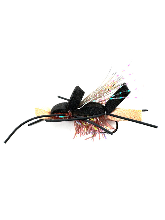 Amy's Ant
