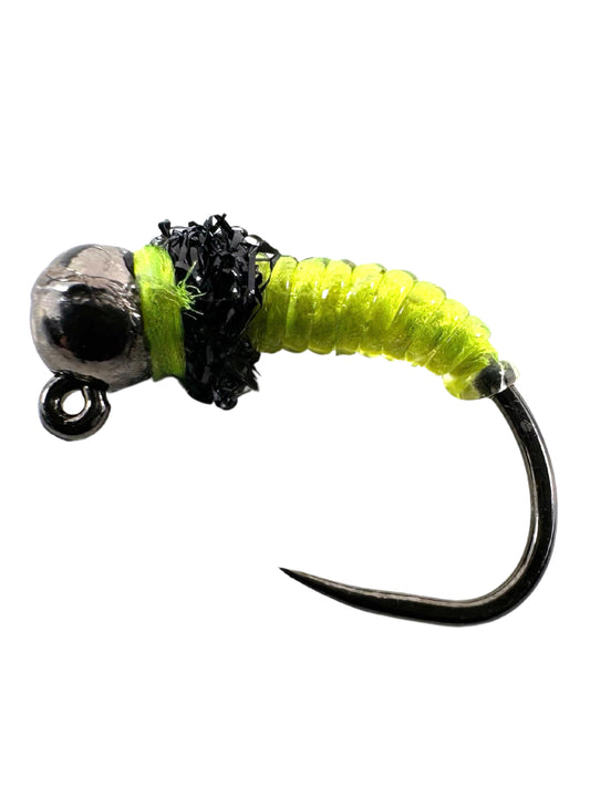 Caddis Larva